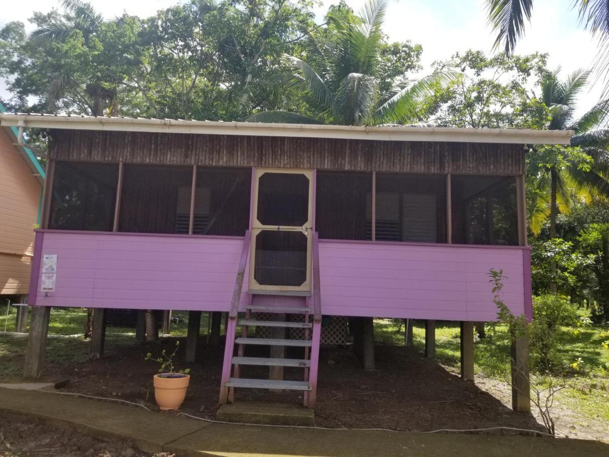 River Bend Resort Bze Belize City Luaran gambar