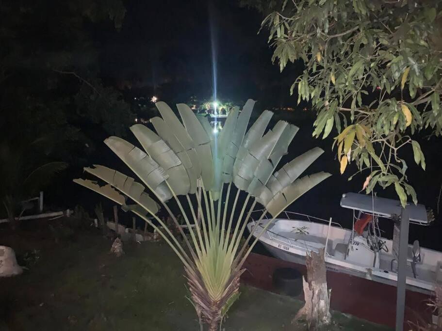 River Bend Resort Bze Belize City Luaran gambar